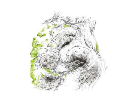 Dessin, Mathilde Wolff & photographie, Jérôme Pérez - art contemporain