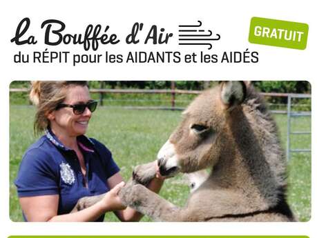 Bouffée d'air : à la rencontre de l'âne du cotentin.