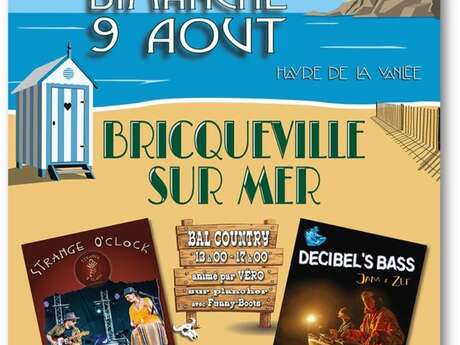 Fête de la mer avec bal et feu d'artifice
