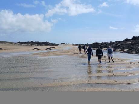 Chausey : Grandes Marées, histoire et découverte de l'estran
