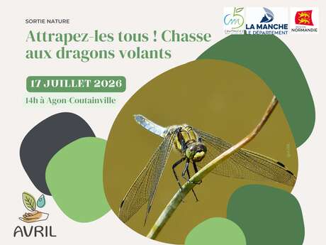 Attrapez les tous ! Chasse aux dragons volants