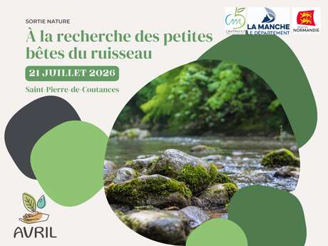 A la recherche des petites bêtes du ruisseau