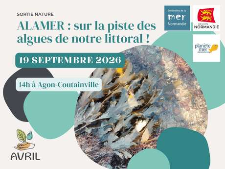 ALAMER : sur la piste des algues de notre littoral !