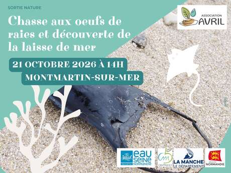 Chasse aux oeufs de raies et découverte de la laisse de mer