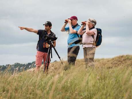 Birding Mont-Saint-Michel