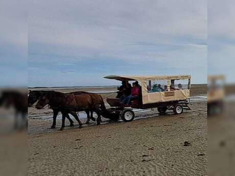 Escapade en calèche