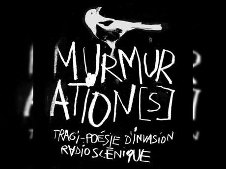 Murmuration[S] | Cie Toiles Cirées chez Dodeka