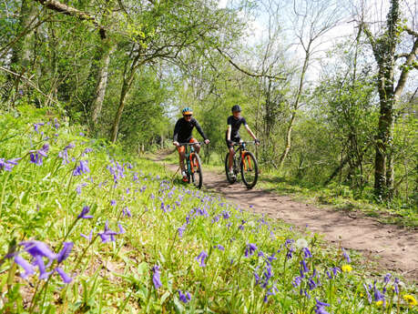 VTT - Le Boscq, l'Oiselière