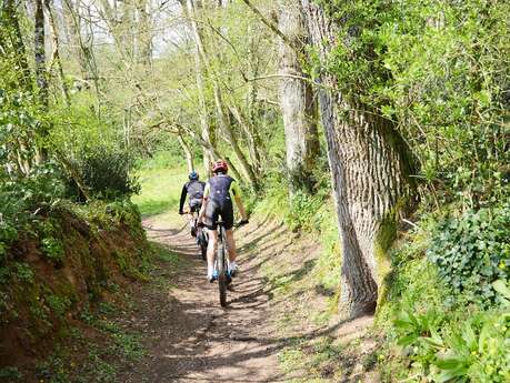 VTT - Le val d'Airou