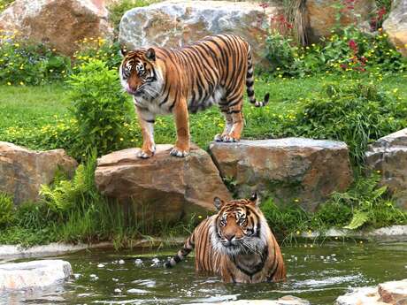 Parc Zoologique et Paysager de Champrépus