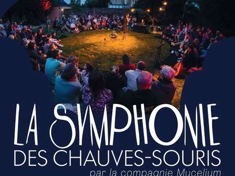 Spectacle en plein air : La symphonie des chauves-souris