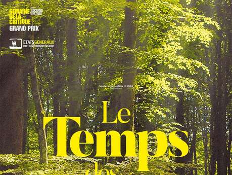 Projection : Le Temps des Forêts
