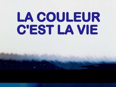 Exposition photos : La couleur c'est la vie
