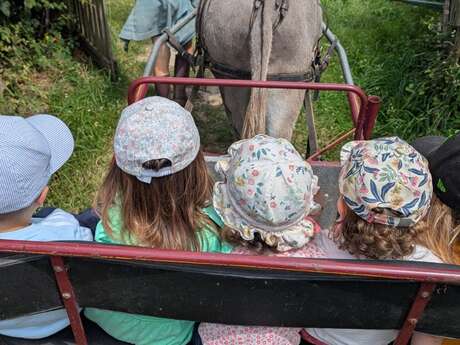 Atelier enfant - Aujourd'hui, c'est toi le fermier !