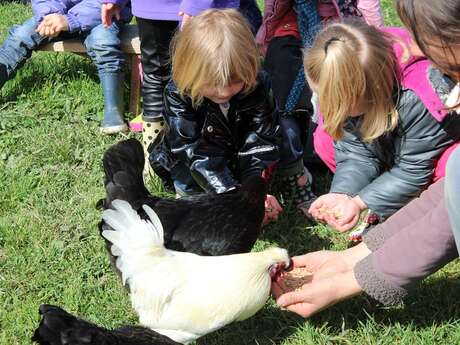 Atelier enfant - Mes 1ères bottes - Nourrissage des animaux de la ferme