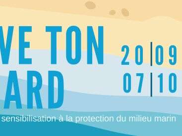 Sauve Ton Homard, une semaine de sensibilisation à la protection du milieu marin