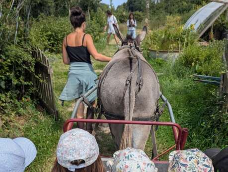 Bal'ane : découverte des plantes en carriole tirée par l'âne