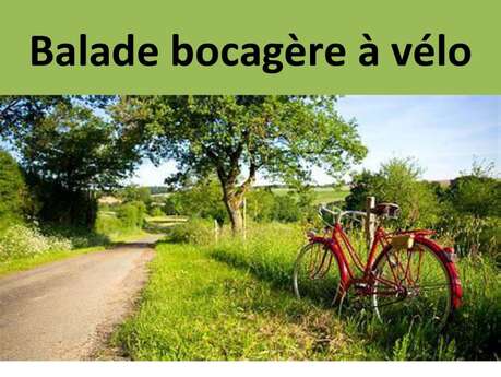 Balade bocagère à vélo