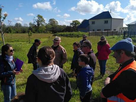 Balade guidée à la découverte du bocage : le remembrement dans la Manche