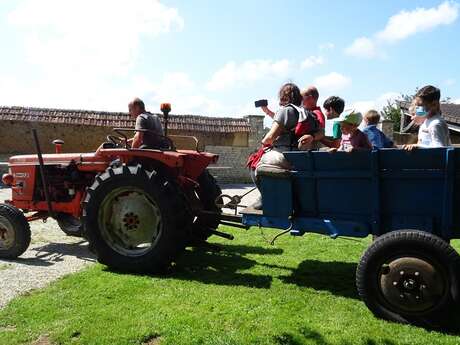 Balade en tracteur vintage - Ferme-musée du Cotentin