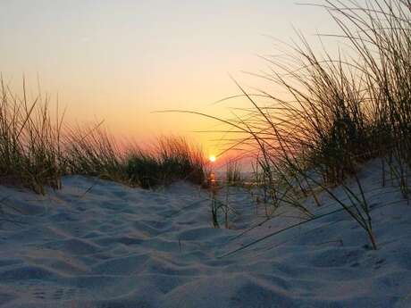 Sophro'balade : évasion au crépuscule