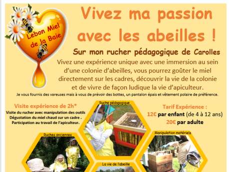 Vivez ma passion avec les abeilles !