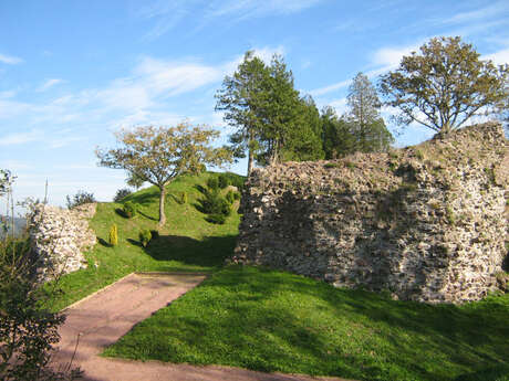 Vestiges du Château Ducal