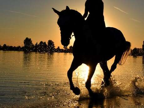 Beach Derby Cross