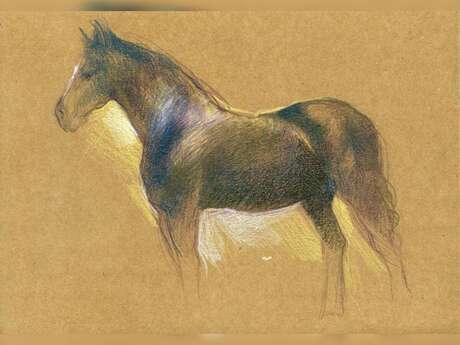 Atelier dessin modèle vivant animal (session cobs) avec Laura Szabo