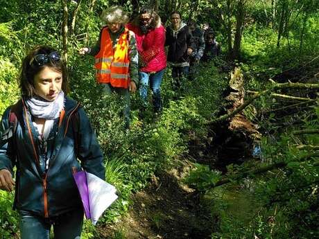 Balade guidée du bocage : le remembrement dans la Manche