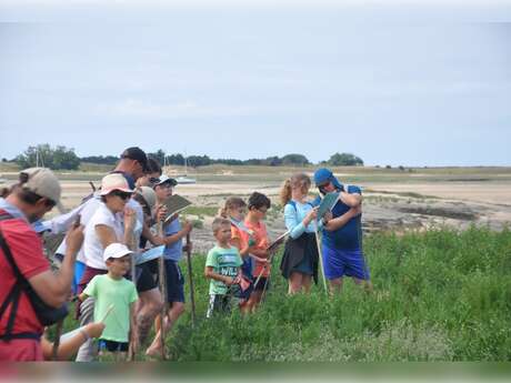 Traversée du havre de la Sienne - spéciale enfants