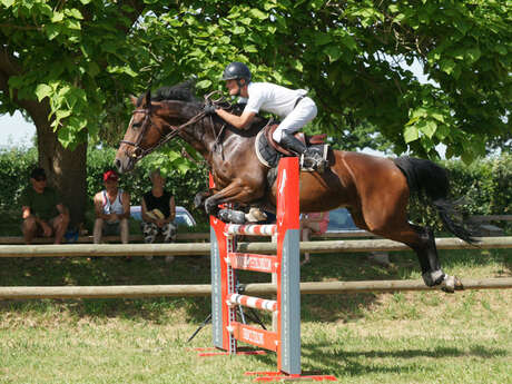 Concours hippique | pros et amateurs