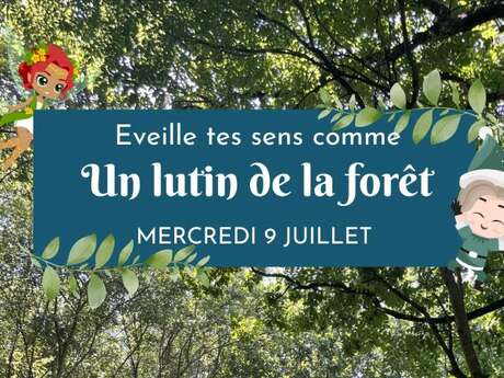 Balade relaxante : éveil tes sens comme un lutin de la forêt