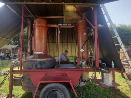 Distillation de Calvados AOP