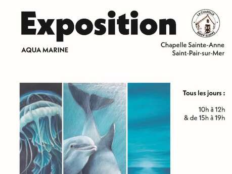 Exposition : "Aqua Marine" de Elisabeth Baudouin