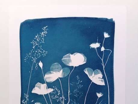 Expérience de Destination : je créé mon cyanotype avec les fleurs du Jardin Christian Dior