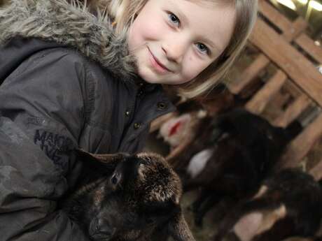 Expérience : fermier d’un jour