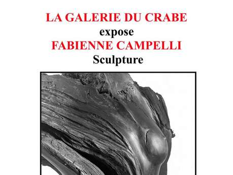 Exposition sculptures, Fabienne Campelli