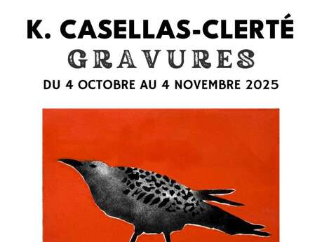 Exposition de gravures sur le thème des oiseaux marins