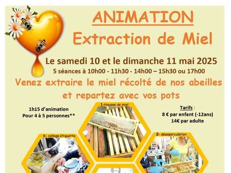 Extraction du miel