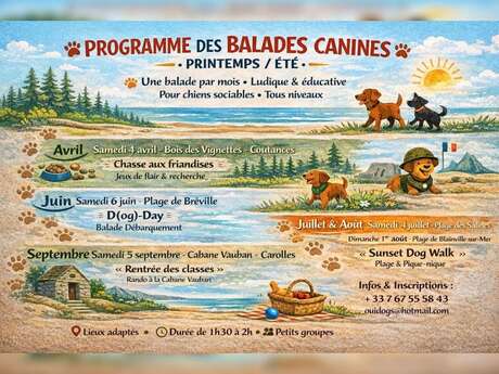 Balade canine "Sunset dog walk"