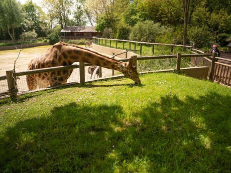 GRP 4 Les belvèdères du Mont-Saint-Michel - de Villedieu-les-Poêles à Carolles