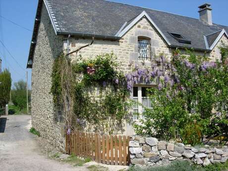 Clévacances H7038 : Racine