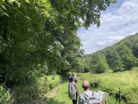 Sophro'balade "Un nouveau souffle" aux abbords de l'abbaye d'Hambye