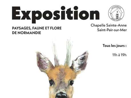 Exposition : "Paysages, faune et flore de Normandie" de Isabelle Issaverdens
