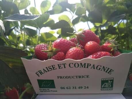 "Fraise et compagnie" - Poincheval Maud