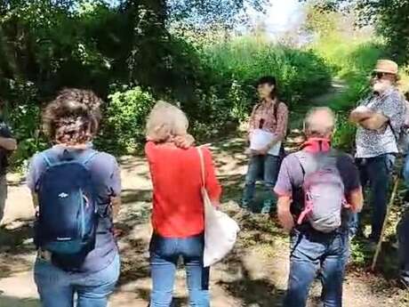 Balade en baskets : visite sportive du bocage