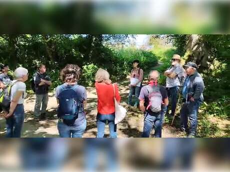 L'histoire du bocage