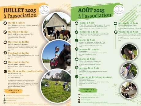 Activités autour et avec les poneys à l'association