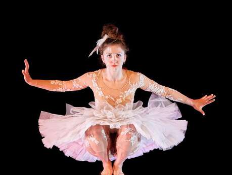 Cirque chorégraphié : Le Lac des Cygnes de la compagnie L'Eolienne